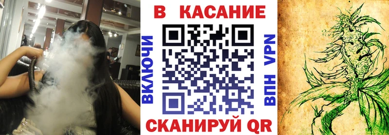 МЕФ Кудрово