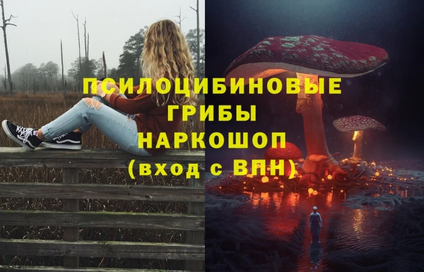 гидропоника Алексеевка